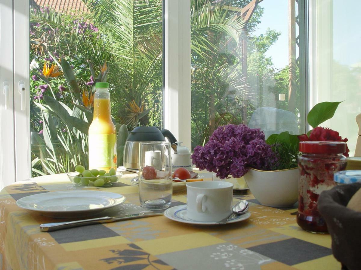 Privatzimmer Mit Aussicht Pirna Exterior foto